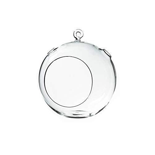 WGVI WGV Hanging Terrarium Globe, Width 7", Height 8", DIY Air Succulent Planter, Clear Glass Vase Orb with Flat Bottom, Candle Holder for Windowsill Outdoor Garden Decor, 1 Piece - size: 7" Flat Bottom
