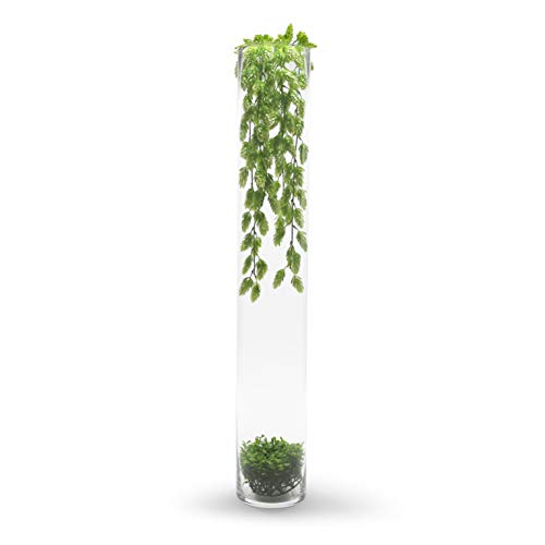 WGVI Quality Thick Weighted Tall Clear Cylinder Glass Vases, 4" W x 28" H, Flower Arrangement Floating Candle Holders Wedding Centerpieces Event Floral Container Floor Display Home Décor, 1 Piece - size: 4"x28"H