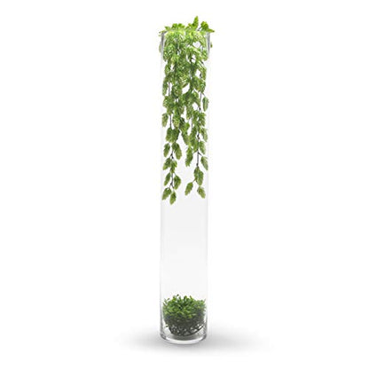 WGVI Quality Thick Weighted Tall Clear Cylinder Glass Vases, 4" W x 28" H, Flower Arrangement Floating Candle Holders Wedding Centerpieces Event Floral Container Floor Display Home Décor, 1 Piece - size: 4"x28"H