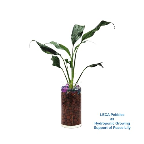 Premium LECA Clay Beads, Clay Pebbles, Grow Rocks, Clay Balls, Hydroponic Growing Medium – 2.5-LB Bag