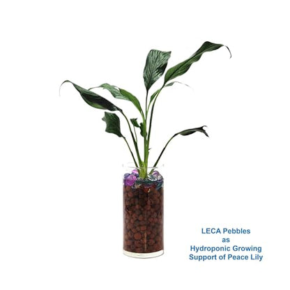Premium LECA Clay Beads, Clay Pebbles, Grow Rocks, Clay Balls, Hydroponic Growing Medium – 2.5-LB Bag