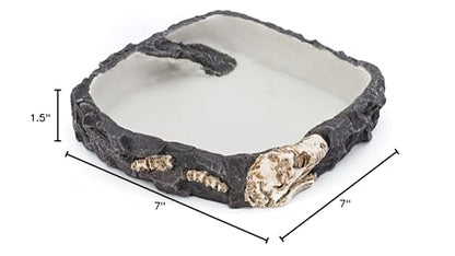 PENN-PLAX Reptology Reptile Fossil Rock Food/Water Dish – Perfect for Bearded Dragons, Geckos, Chameleons, Snakes, Hermit Crabs, and Many More – Large - size: Large