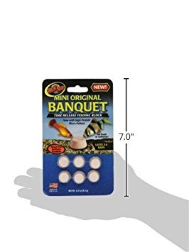 Zoo Med Laboratories AZMBB2 Mini Banquet Block Feeders, 12 Count - size: 6 Count (Pack of 2)