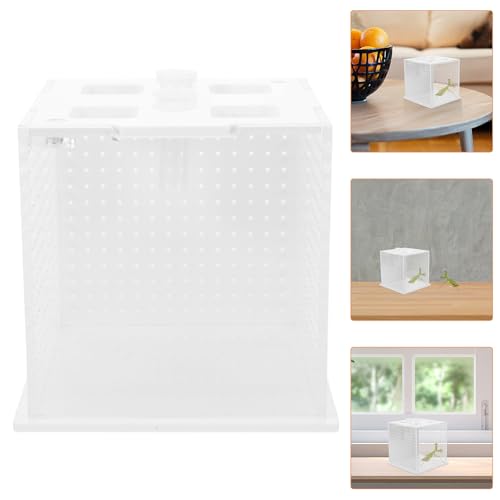 DECHOUS Reptile Feeding Box and Breeding Habitat Container Acrylic Pet Enclosure Suitable for Mantises, Stick Insects, Spiders, and Small Reptiles