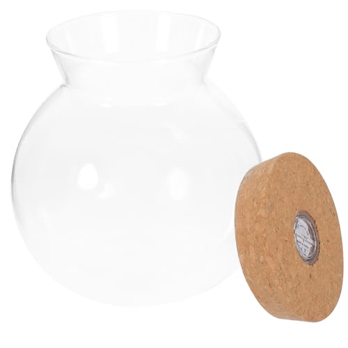 Abaodam Glass Terrarium Jar with Led Light Base, Small Container for Indoor Plants, DIY Micro Landscape Ecosystem Kit for Fish Tank Desktop Decor