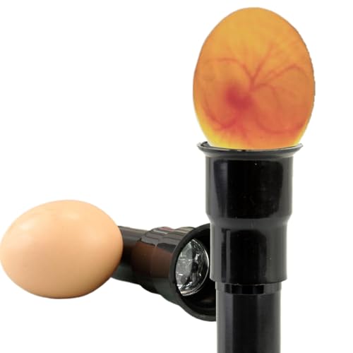 Egg Candler Candling Light Egg Development Tester Flashlight for Chicken Duck and Goose Eggs, 2PCS(Black)