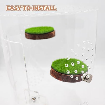 Jumping Spider Accessories, 4 Pack Wooden Ledges with Magnets, Natural Pine Spiders Ledges, Jumping Spider Enclosure Accessories, Magnetic Reptile Ledge - color: Green Artificial Grass