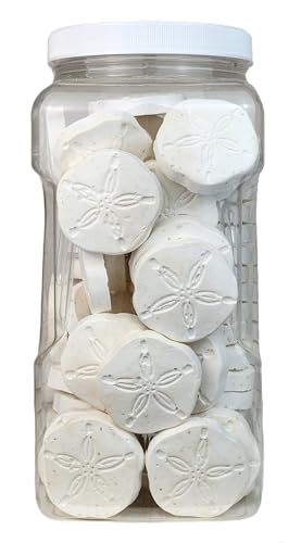 Calcium Feeders Medium-Large Disks 75ct Large Jar - size: 75 Count (Pack of 1)