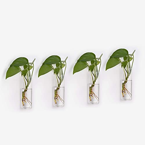 Terrarium Hanging Glass Wall Planters Air Plant Holders Round Glass Plant Pots Containers for Hydroponics Plants, Succulents, Herbs, Flowers (Cylinder 4pcs)
