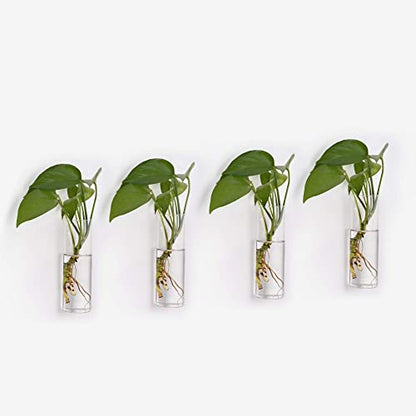 Terrarium Hanging Glass Wall Planters Air Plant Holders Round Glass Plant Pots Containers for Hydroponics Plants, Succulents, Herbs, Flowers (Cylinder 4pcs)