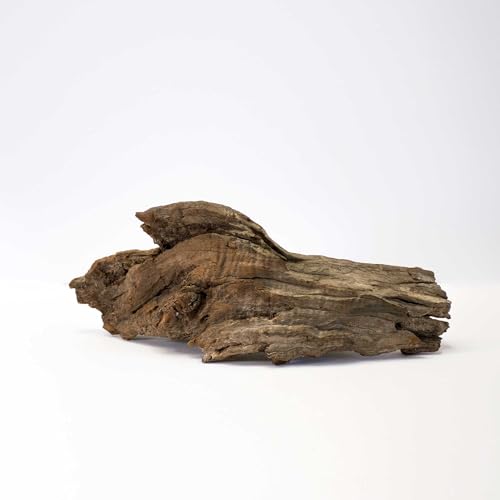 Galápagos (05285) Sinkable Driftwood Bed, Natural, Medium/11-13" - size: Medium/11-13"