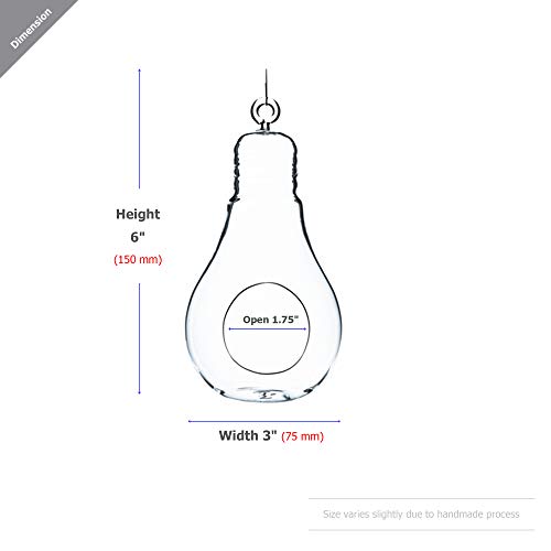 WGV Hanging Glass Plant Terrarium, Width 3", Height 6", Bulb DIY Air Succulent Planter Clear Vase Tea Light Votive Candle Holder, Wedding Event Office Home Outdoor Decor, 1 Piece - size: Bulb S