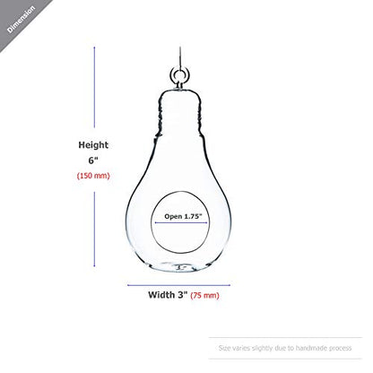 WGV Hanging Glass Plant Terrarium, Width 3", Height 6", Bulb DIY Air Succulent Planter Clear Vase Tea Light Votive Candle Holder, Wedding Event Office Home Outdoor Decor, 1 Piece - size: Bulb S