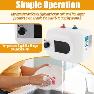 Mini-Tank Electric Water Heater, 110V 1500W 6L/1.6 Gallons Kitchen Instant Hot Water Heater,IPx4 Waterproof Level for Trailer Bathroom Kitchen Under Sink Counter Cupboard