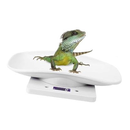 Digital Pet Scale for Small Animals,LCD Electronic Puppy & Kitten Weighing Scale,Multi-Unit Food & Animal Scale with Tray,Portable Gram Scale for Cats,Hamsters,Reptiles for Home