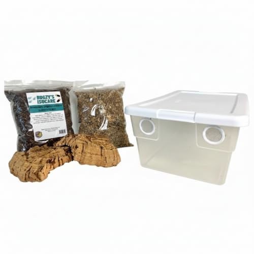 BugzyBugs Vivarium Accessories 6 Quart Starter Kit for Reptile Isopods Springtails Bugs Small Amphibian Crustacean Culturing