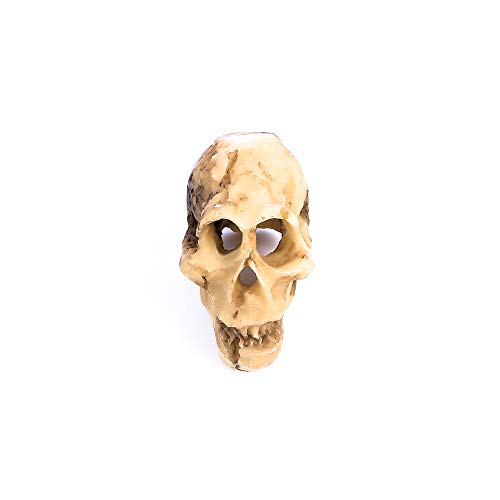 Leadigol 3PCS Aquarium Skull Reptile House Decor Resin Head Skeleton Ornament Aquarium Landscaping Hideout Cave Shelter for Reptile or Fish
