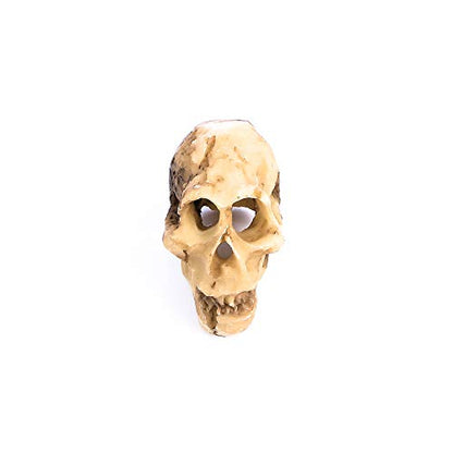 Leadigol 3PCS Aquarium Skull Reptile House Decor Resin Head Skeleton Ornament Aquarium Landscaping Hideout Cave Shelter for Reptile or Fish