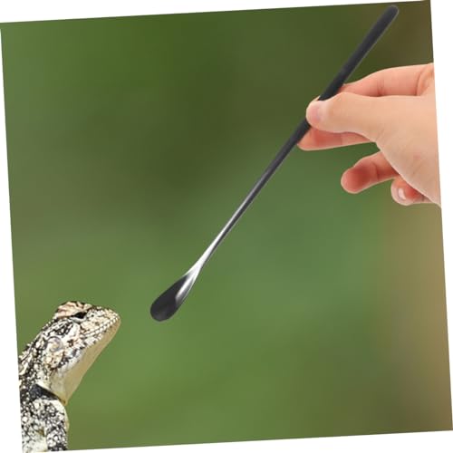 3pcs Small Reptile Feeding Spoon Lizard Food Scoop Multi-Functional Pet Spoon for Animals