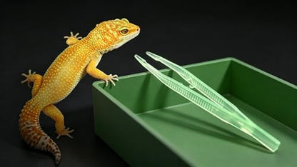 Multifunctional Detachable Reptile Food & Water Bowl + Luminous Tweezers, Reptile Breeding Kit for Geckos and Lizards