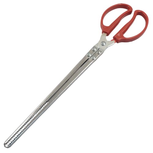 15 Inch Snake Feeding Tongs | Snake Enclosure Accessories, Long Tweezers, Stainless Steel, Non-Slip Handle, Red - size: 14.4In