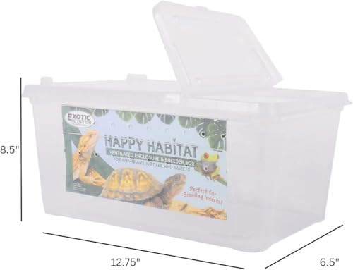 Happy Habitat (Medium - 2 Pack)- Ventilated Enclosure & Breeder Box - for Live Feeder Insects, Reptiles, Amphibians & Other Small Pets - Durable Plastic Portable Terrarium - size: Medium (2 Pack)