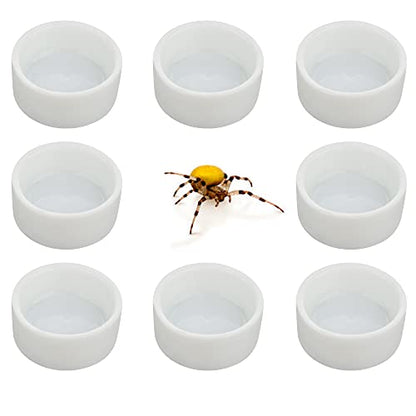 8 Pcs Spider Micro Ceramic Water Bowl Tarantula Mini Dish for Tarantula Spider Scorpion Cricket Snail Manti Millipede Tiny Bugs (White)