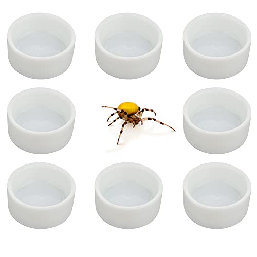 8 Pcs Spider Micro Ceramic Water Bowl Tarantula Mini Dish for Tarantula Spider Scorpion Cricket Snail Manti Millipede Tiny Bugs (White)