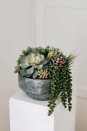 caqpo Premium Artificial Succulents - Mini Fake Succulent Plants & Faux Cactus - 15 Pack - size: 2" - 7" in Diameter and 4" - 14" in Lenght