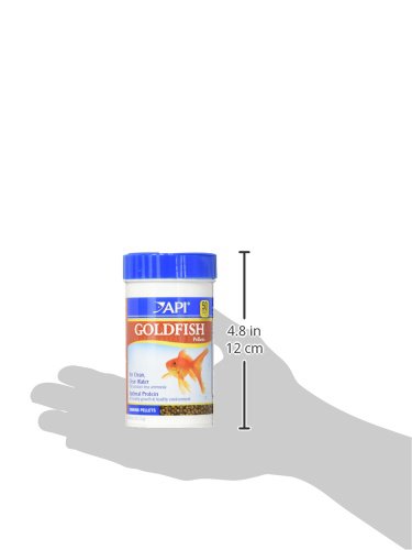 API GOLDFISH PELLETS Fish Food 4-Ounce Container, Medium, Model:833B - size: 4 Ounce (Pack of 1), style: Goldfish