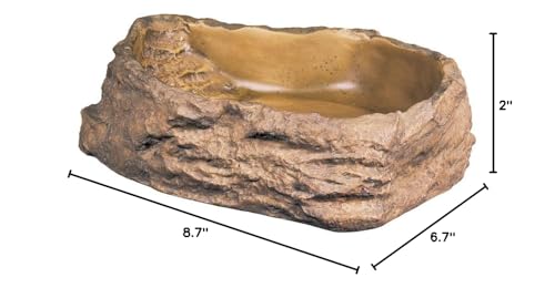 Exo Terra Water Dish, Water Bowl for Reptiles, Large, PT2803 - size: Large