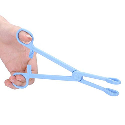 Reptile Feeding Tongs, Safe Plastic Feeding Tweezers with Rounded Tips Hand Feeding Tool for Terrariums Lizards Blue 7.48 Inch 19cm 1 Pack