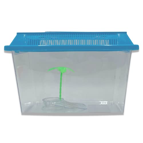 Needzo Portable Hermit Crab Tank, Plastic Carrier Cage with Lid and Handle, Small Terrariums for Reptiles, Crabs, Lizards, and More with Palm Tree Accessory, 8 inches