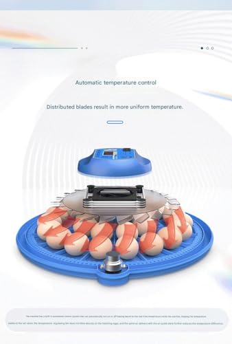 JUJOJB 12-Egg Incubator with Automatic Turner and Temperature Control | Humidity control, built-in egg candler, 360-degree clear window. For chicken, duck, quail, turkey eggs. Adjustable dividers. - color: Blue