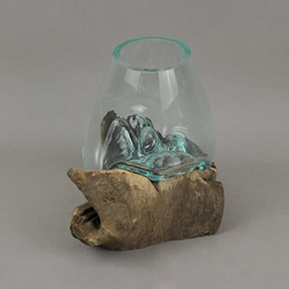 Molten Glass Vase on Teak Driftwood, 7.5 Inch | Clear Hand-Formed Bowl, Natural Wood Base, For Succulents, Air Plants, Herbs or Desktop Terrariums