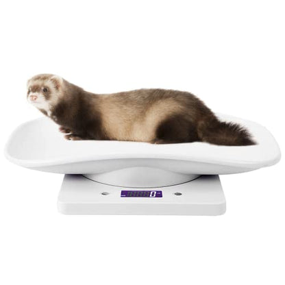 Ferrets Digital Pet Scale Precision LCD Display Small Animal Weight Scale with Removable Tray for Kitten, Rabbit, Guinea Pig, Hedgehog, Hamster, Chick, New Born Pets (White)