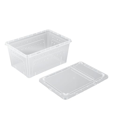 GLOGLOW 2PCS Reptile Feeding Box, PP Transparent Reptile Breeding Box for Bearded Dragon Lizard Snake Crawler Breeding Tools, Hatching Supplies (L)