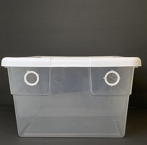 Vented Vivarium 16 Quart Container with 2 Vent Terrarium for Isopods, Reptiles, Scorpions, and Other Invertebrates