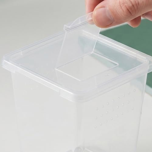 Ciieeo Plastic Reptile Feeding Boxes Smooth Surface 4pcs with Multihole Ventilation Design, Space Saving Insect and Small Reptile Colony Containers for Cricket and Spider Breeding