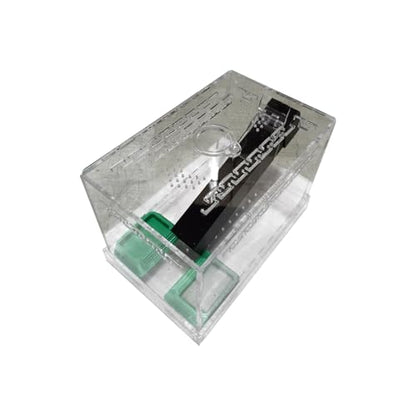 Crickets Breeding Box Equipped with Food Water Basins and Absorbent Cotton Breeding Case Ventilated Crickets Enclosure