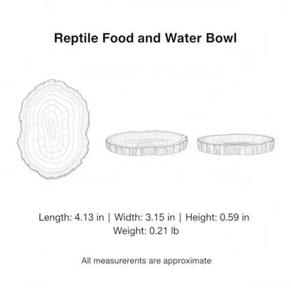 Reptile Food and Water Bowl, Low-Profile Resin Dish for Terrarium Habitat, Stable Feeding Station for Small Lizards and Geckos (1 PC)