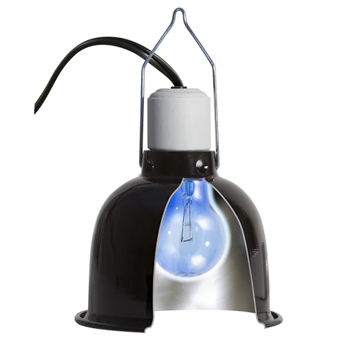 Zoo Med Daylight Blue Reptile Bulb 40 Watts - Pack of 3