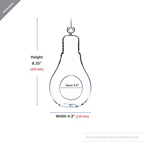 WGV Hanging Glass Plant Terrarium, Width 4.25", Height 8.25", Bulb DIY Air Succulent Planter Clear Tea Light Votive Candle Holder, Wedding Event Office Home Outdoor Decor, 1 Piece - size: Bulb L