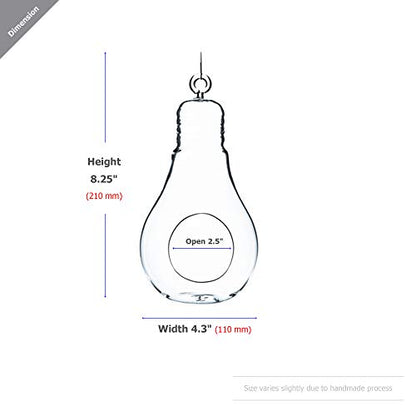 WGV Hanging Glass Plant Terrarium, Width 4.25", Height 8.25", Bulb DIY Air Succulent Planter Clear Tea Light Votive Candle Holder, Wedding Event Office Home Outdoor Decor, 1 Piece - size: Bulb L