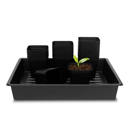 RooTrimmer 4 inch (10CM) Square Nursery Pots 60pcs, Sturdy Seedlings Trays 5 Pcs, Seeds Starter Germination Tray, Microgreening Planter Nursery Propagation 5 Sets - size: 4" Pots-60P + 16.2" x 13.2" x 2.6" Trays-5P