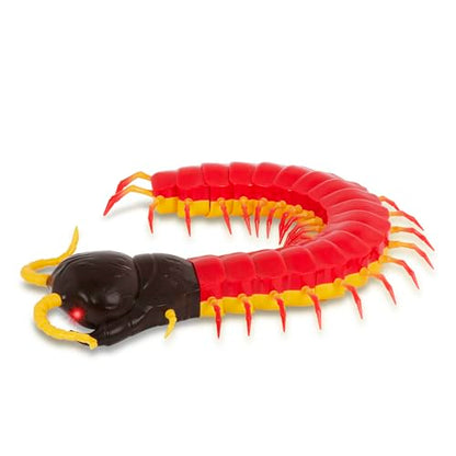 Terra by Battat — RC Centipede Giant Scolopendra Toy with LED Eyes | Remote Control Centipede with 18 Body Segments, Fast Moving Legs and S Shape Wriggle; Electronic Animal Toy for Kids 6+ Years - style: Scolopendra