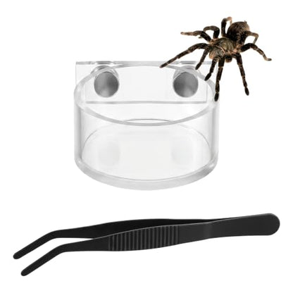 Jumping Spider Feeding Dish Set, Water Bowl with Tweezer, Reptile Feeding Dish Tongs, Water Dispenser Enclosure Jumping Spider Accessories