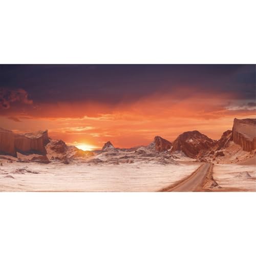 48x24 in Sun Desert Terrarium Backdrop Orange Reptile Habitat Background | AWERT Durable Polyester Background - size: 48x24in/120x60cm