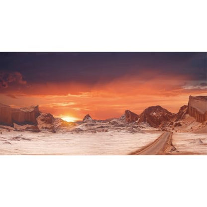 48x24 in Sun Desert Terrarium Backdrop Orange Reptile Habitat Background | AWERT Durable Polyester Background - size: 48x24in/120x60cm