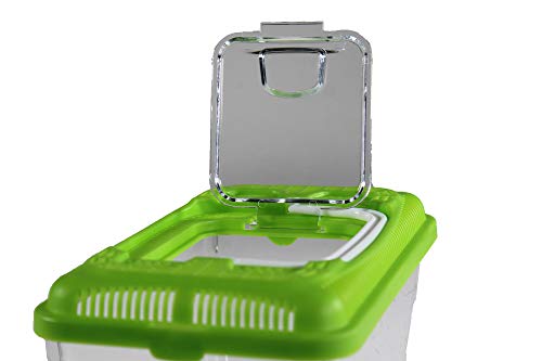 Penn-Plax Small World Habitat – Portable Clear and Transparent Plastic Tank – Excellent for Small Critters and Creatures – Easy to Clean & Handle – 0.6 Gallon - size: 0.6 Gallon